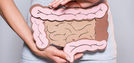 Glutamina: o que é e quais são os benefícios para o intestino?