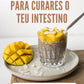 Ebook "Pequenos-almoços para curares o teu intestino"